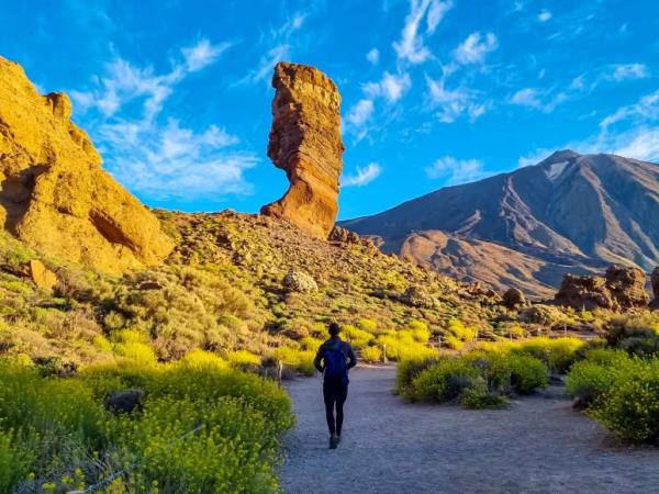 Tenerife and La Gomera walking vacation, Spain