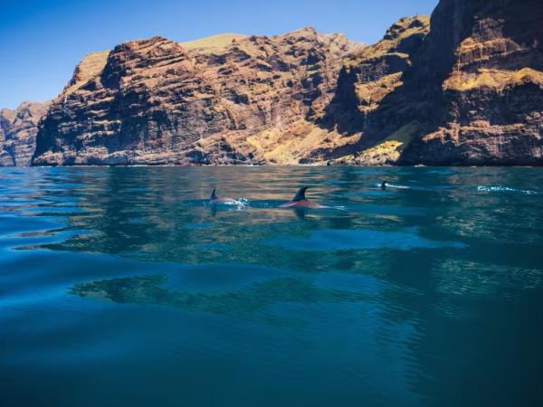 Tenerife and La Gomera walking vacation, Spain