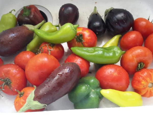 Peloponnese food and wine vacation in Greece
