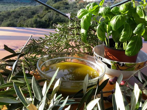 Peloponnese food and wine vacation in Greece