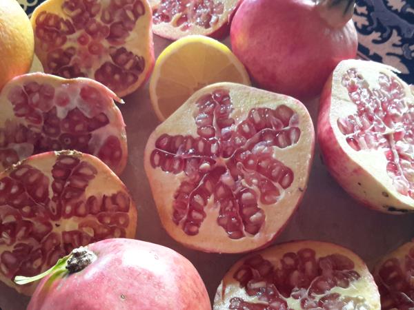 Peloponnese food and wine vacation in Greece