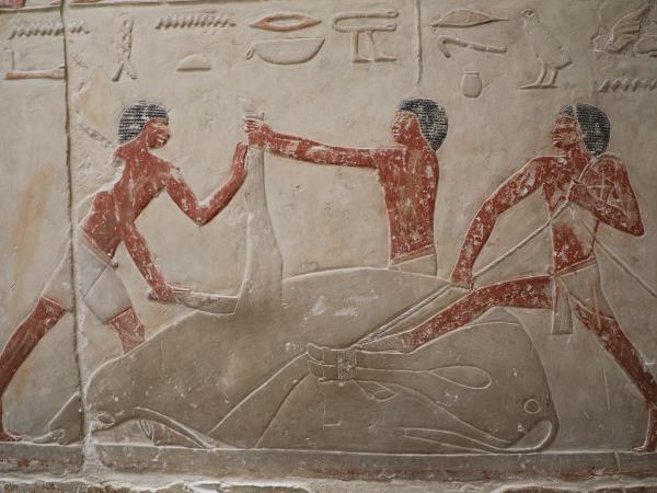 Ancient Egypt guided tour