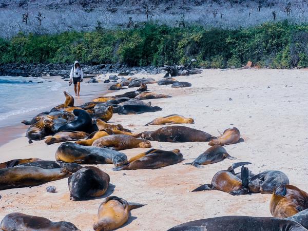Galapagos cruise & island hopping vacation