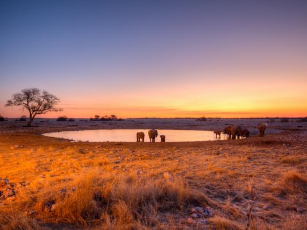 Namibia self drive safari supporting community conservancies