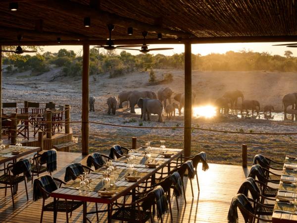 Botswana safari tour from desert to Delta and Falls 