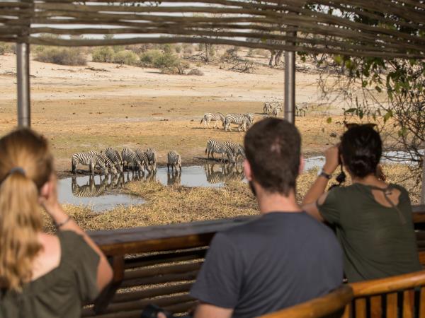 Botswana safari tour from desert to Delta and Falls 