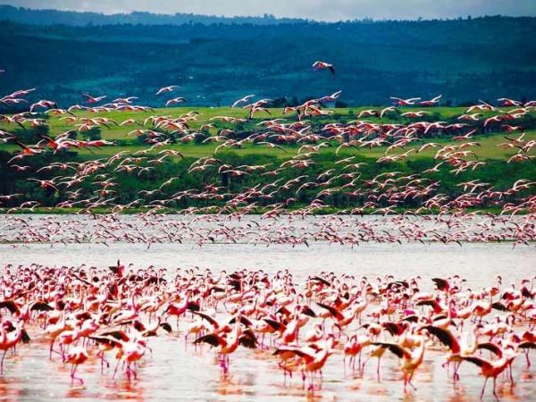 Kenya and Tanzania small group safari vacation