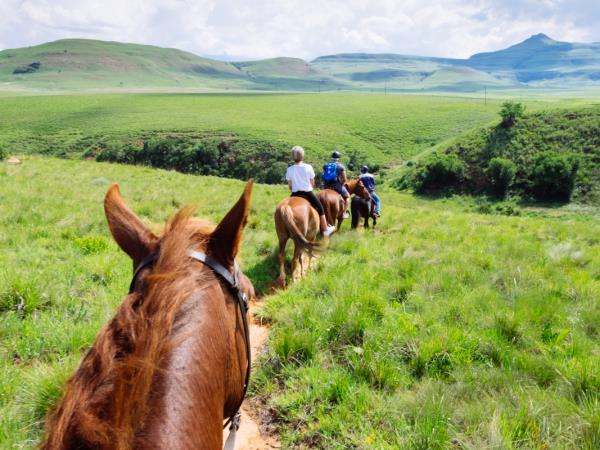 Kwa Zulu Natal family adventure holiday