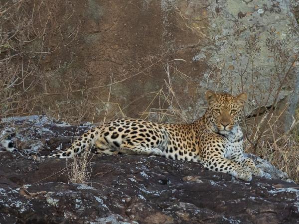 Kwa Zulu Natal family adventure holiday