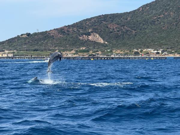 Sardinia and Corsica wellness sailing vacation
