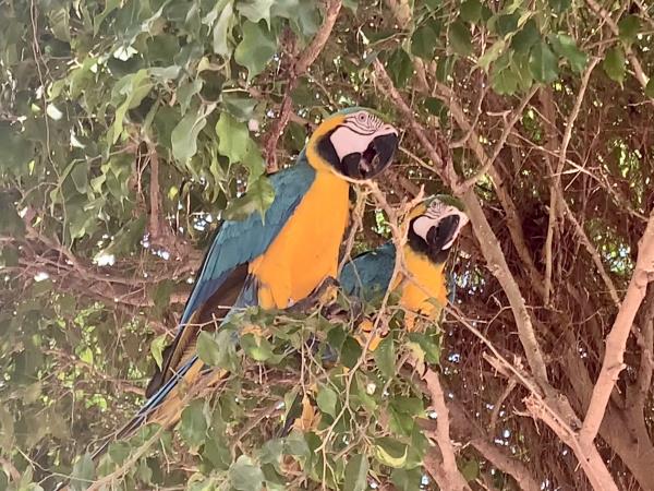 Colombia nature and adventure vacation