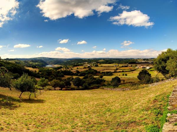 The French Way hiking vacation, Sarria - Santiago