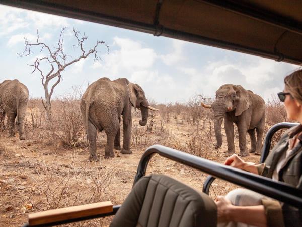Family luxury safari & beach vacation, South Africa & Mozambique
