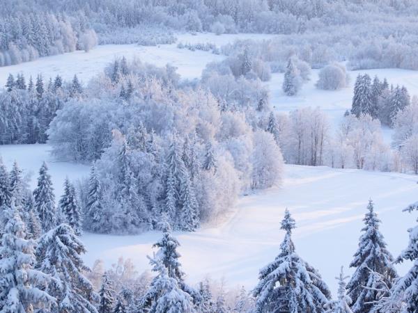 Christmas market vacation in Estonia