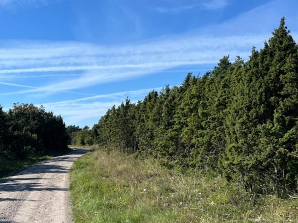 Estonia wildlife vacation, small group