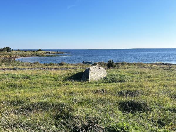 Estonia wildlife vacation, small group