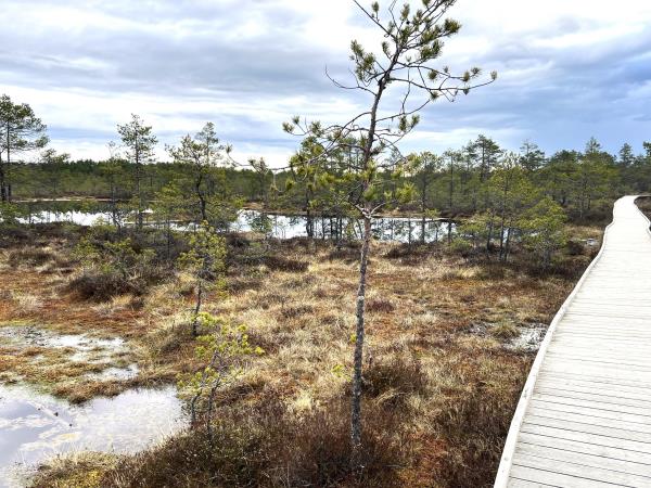 Estonia wildlife vacation, small group