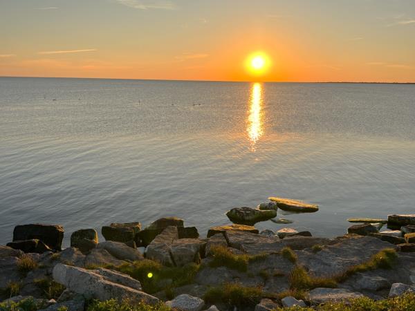 Estonia wildlife vacation, small group