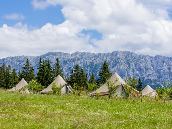 Carpathian nature and culture vacation, Romania