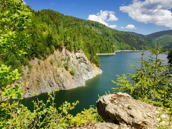 Carpathian Mountains wildlife vacation, Romania