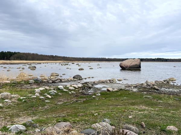 Estonia wildlife short break