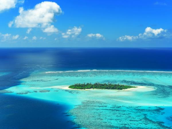 Maldives Whale Shark Conservation Research Expedition 
