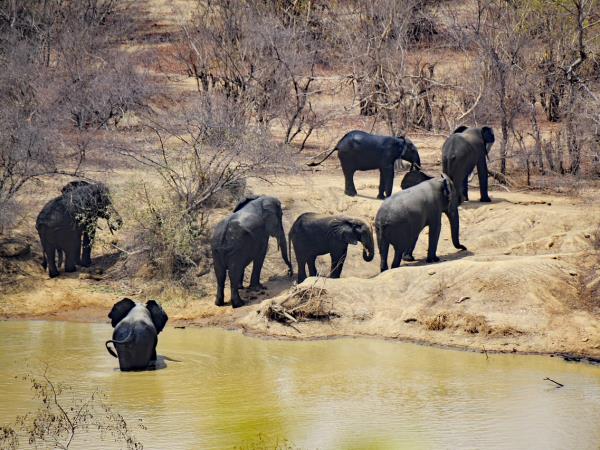 West Africa 8 week expedition, Morocco to Benin 