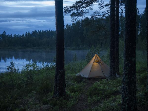 Sweden vacations, wolves, moose and beavers