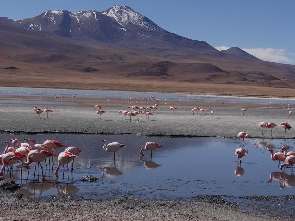 Panama and Bolivia small group tour