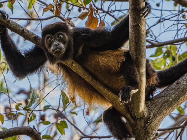 Panama and Nicaragua small group tour