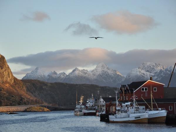Lofoten sailing vacation in Norway