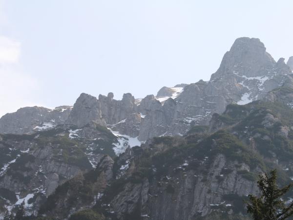 Transylvania wildlife vacation, lynx watching and tracking