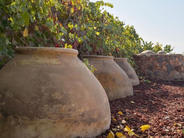 Armenia walking and wine vacation