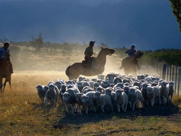Complete Patagonia small group tour