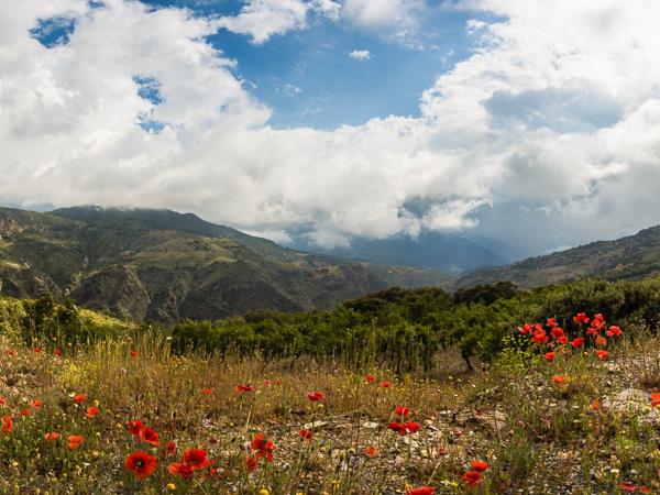Photography vacation in Andalucia
