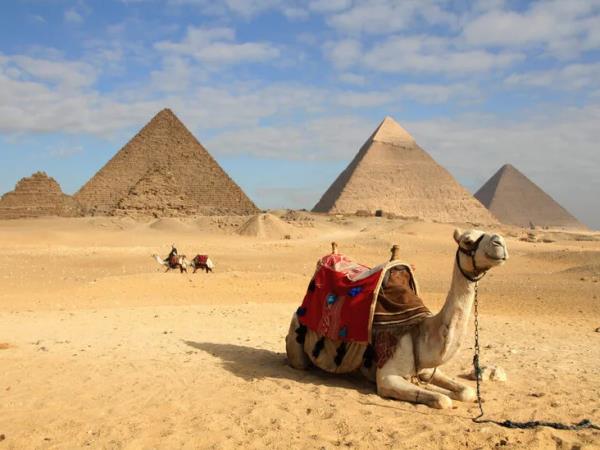 Cairo & Bahariya Oasis vacation, Egypt