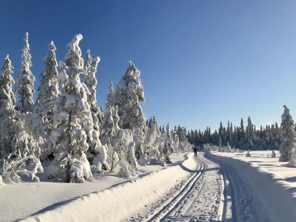 Cross country skiing vacation in Norway