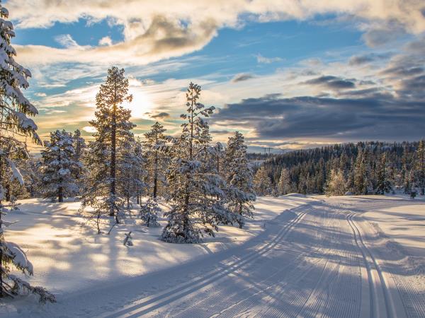 Cross country skiing vacation in Norway