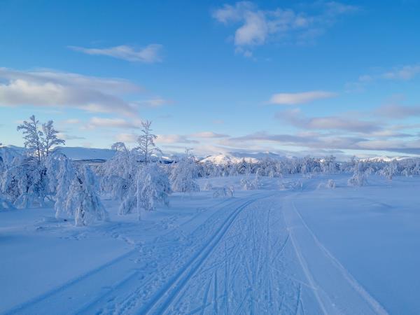 Cross country skiing vacation in Norway