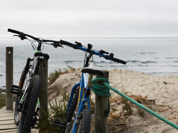 Alentejo to Algarve bike tour