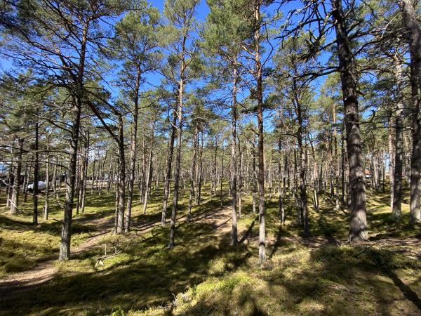 Sweden island hopping hiking vacation