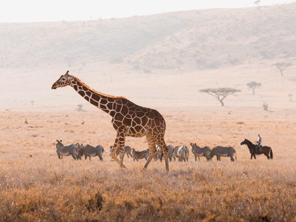 Family safari and beach vacations in Kenya