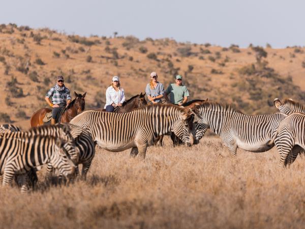 Family safari and beach vacations in Kenya