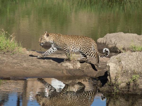 Tanzania luxury family safari and beach vacation