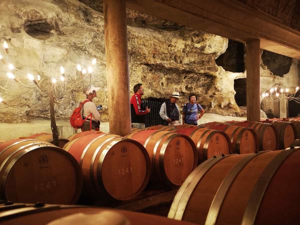 Culture and gastronomy vacation in the Spanish Pyrenees