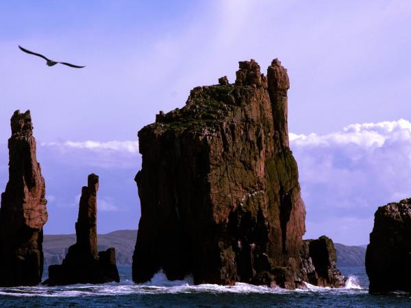 Orkney and Shetland small group tour, Scotland 