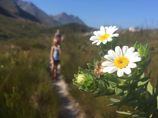 Cape Town spring flowers vacation