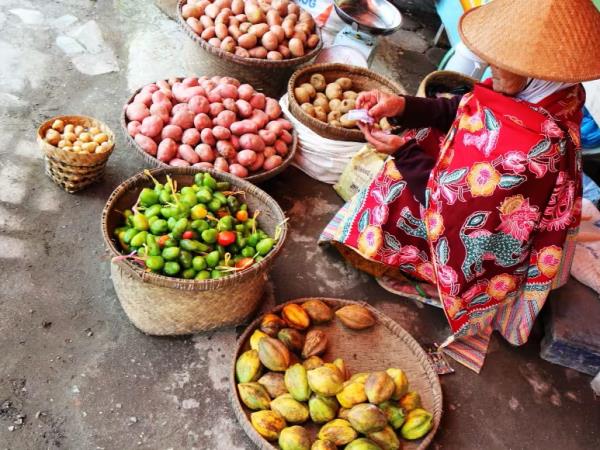 Hiking vacation in northern Vietnam