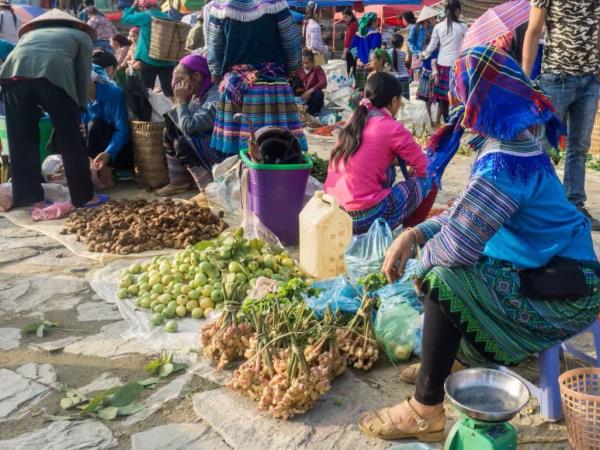 Hiking vacation in northern Vietnam