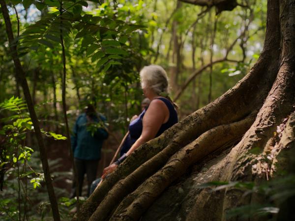 Malawi community volunteering and safari vacation